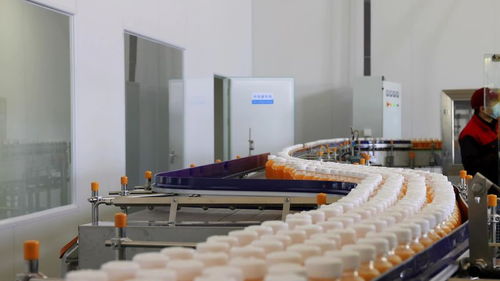 千企競(jìng)“質(zhì)”，向“新”而行 小沙棘如何為鄉(xiāng)村振興注入強(qiáng)勁動(dòng)能